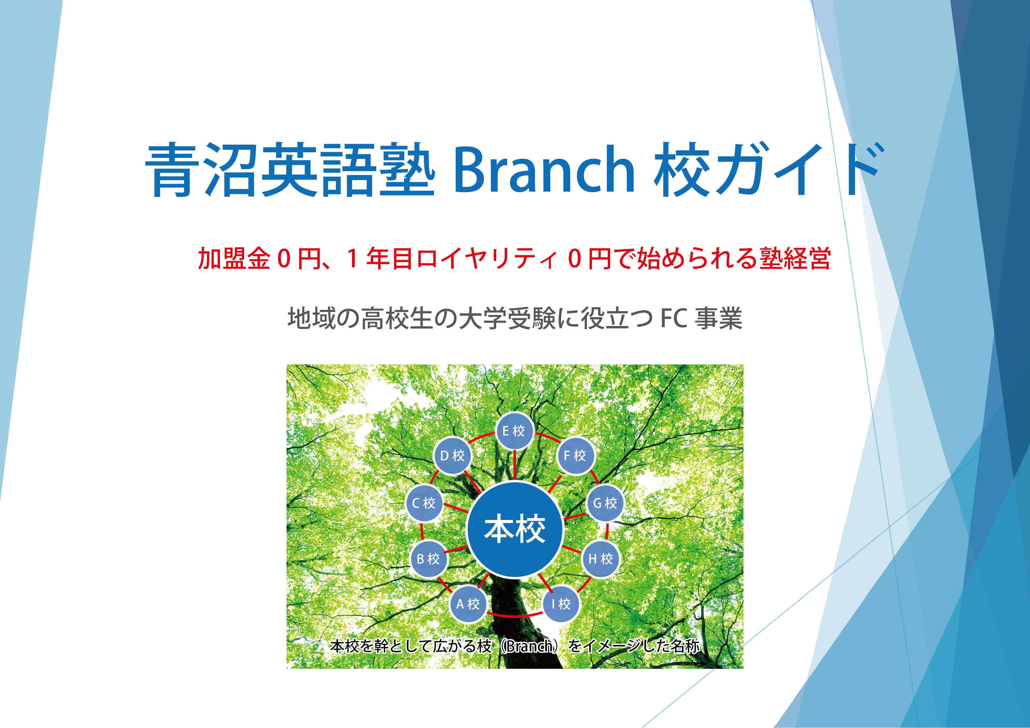 Aonuma-Branch-hyoshi1222